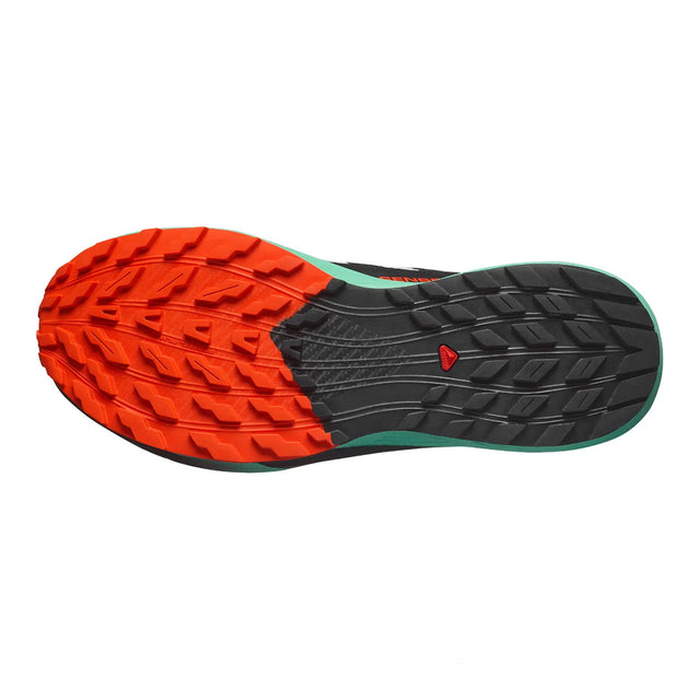 SALOMON SENSE RIDE 5 - נעלי ריצה שטח גברים