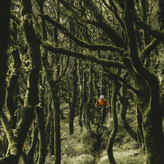 GOODYEAR NEWTON MTF - צמיג אופנים קדמי שטח ואנדורו