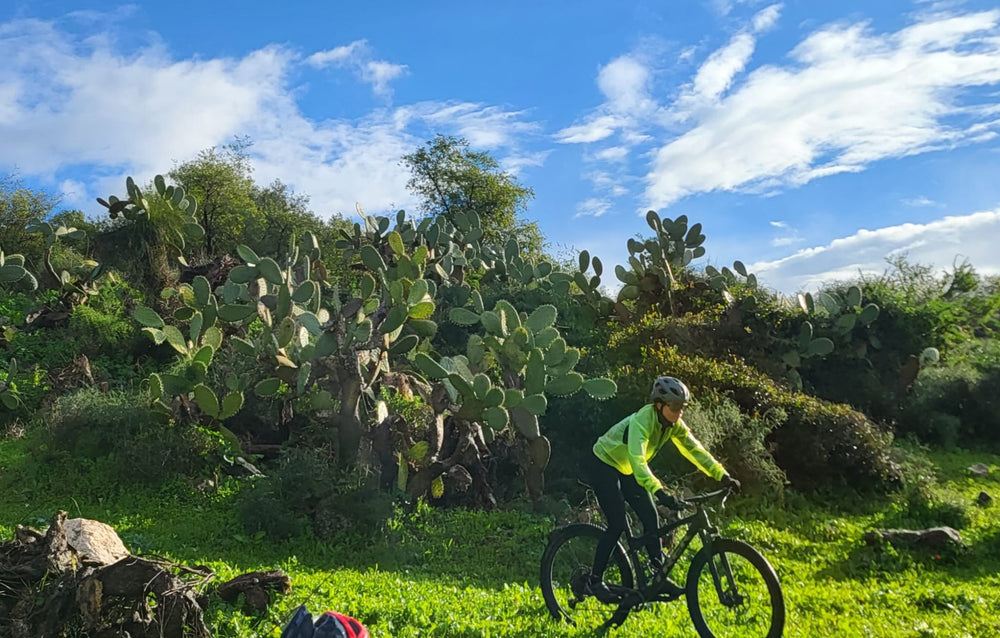 תמונה מהמסלול