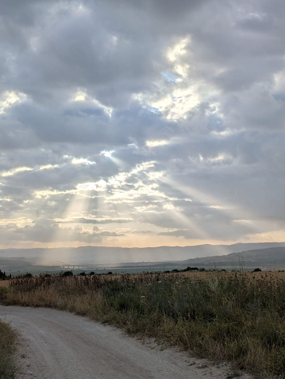 תמונה מהמסלול