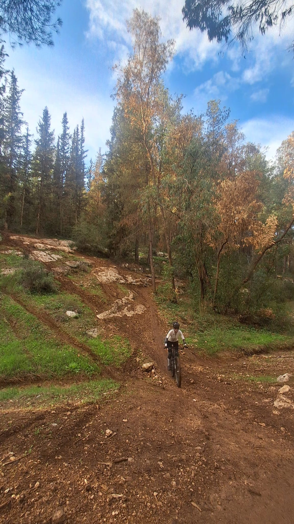 תמונה מהמסלול