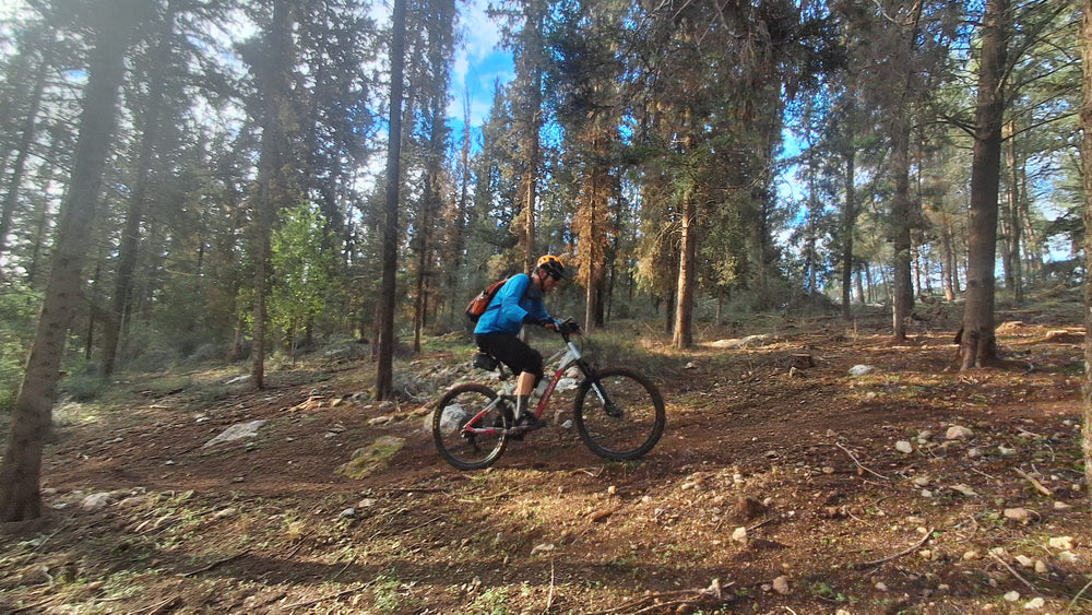 תמונה מהמסלול