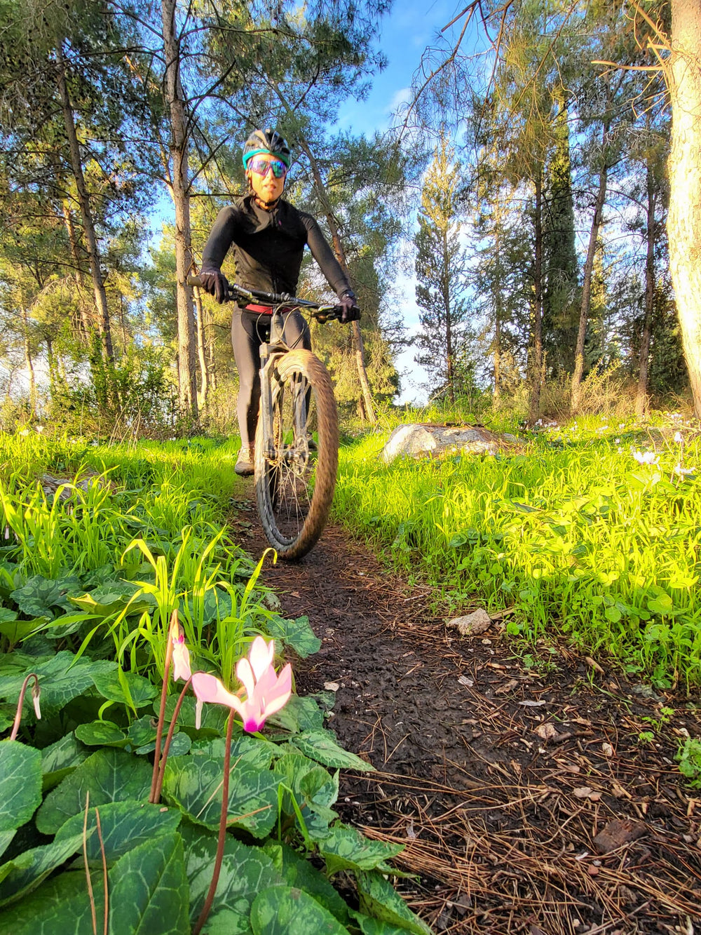 תמונה מהמסלול
