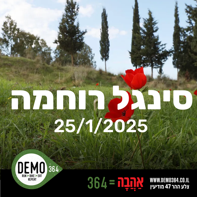 סינגל רוחמה| 25.1.2025