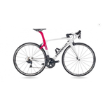 אופני נשים קרבון PINARELLO PRINCE ULTEGRA