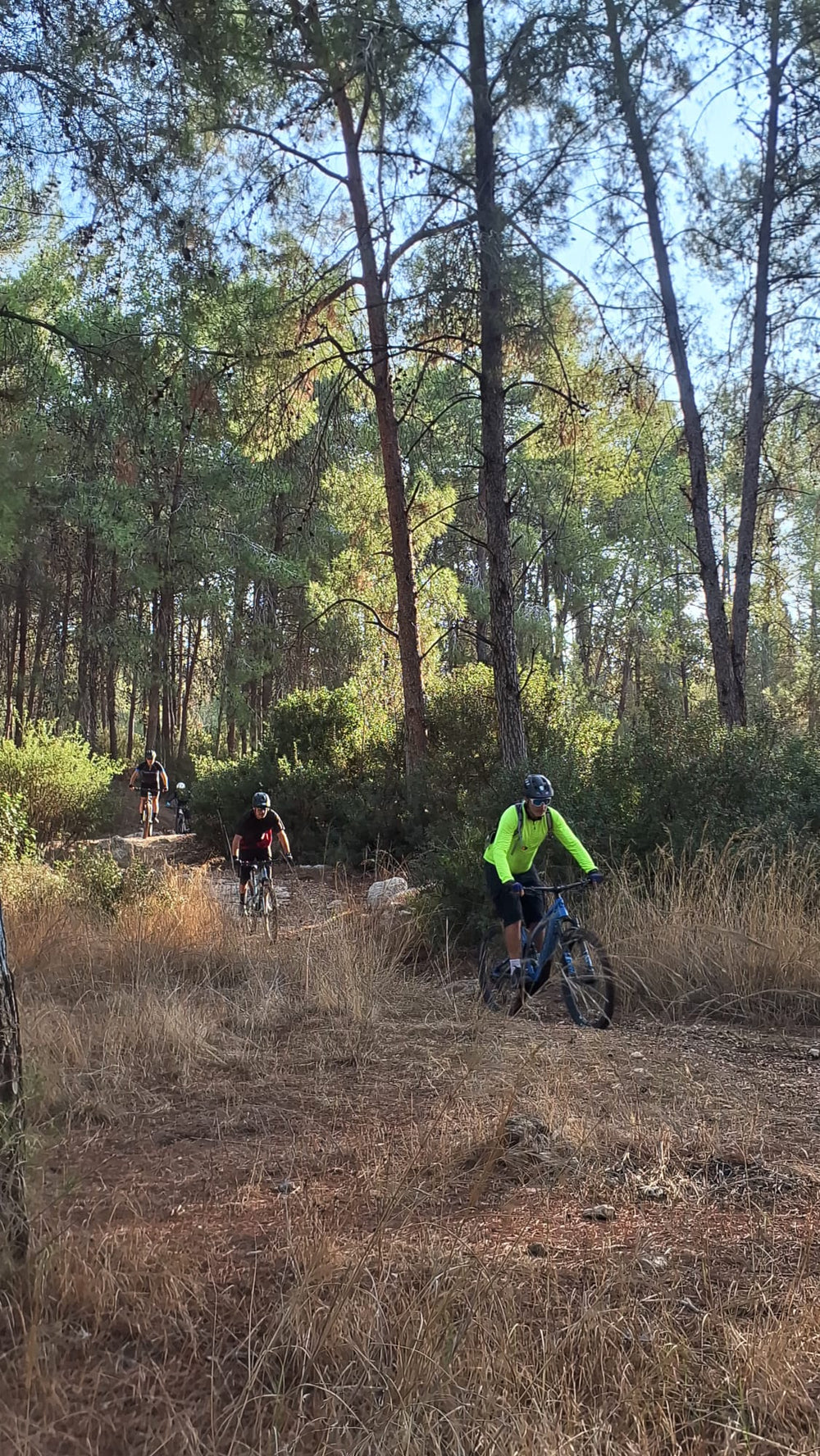 תמונה מהמסלול