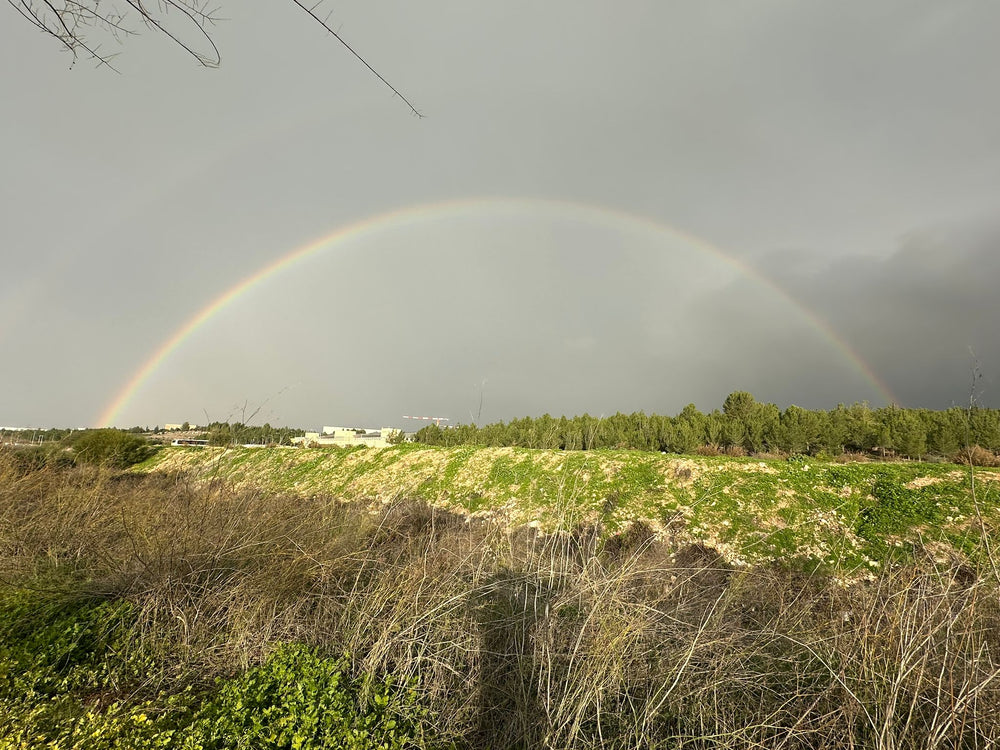 תמונה מהמסלול