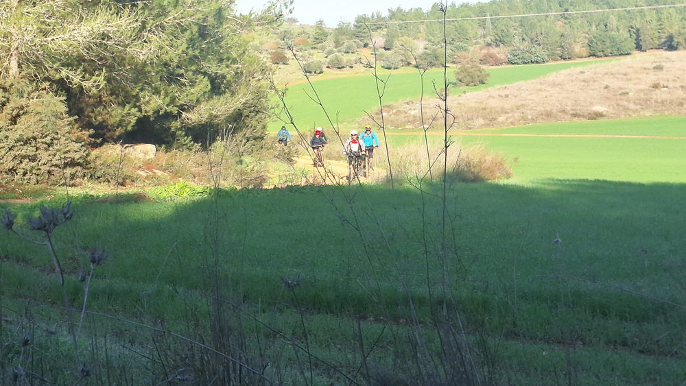 תמונה מהמסלול