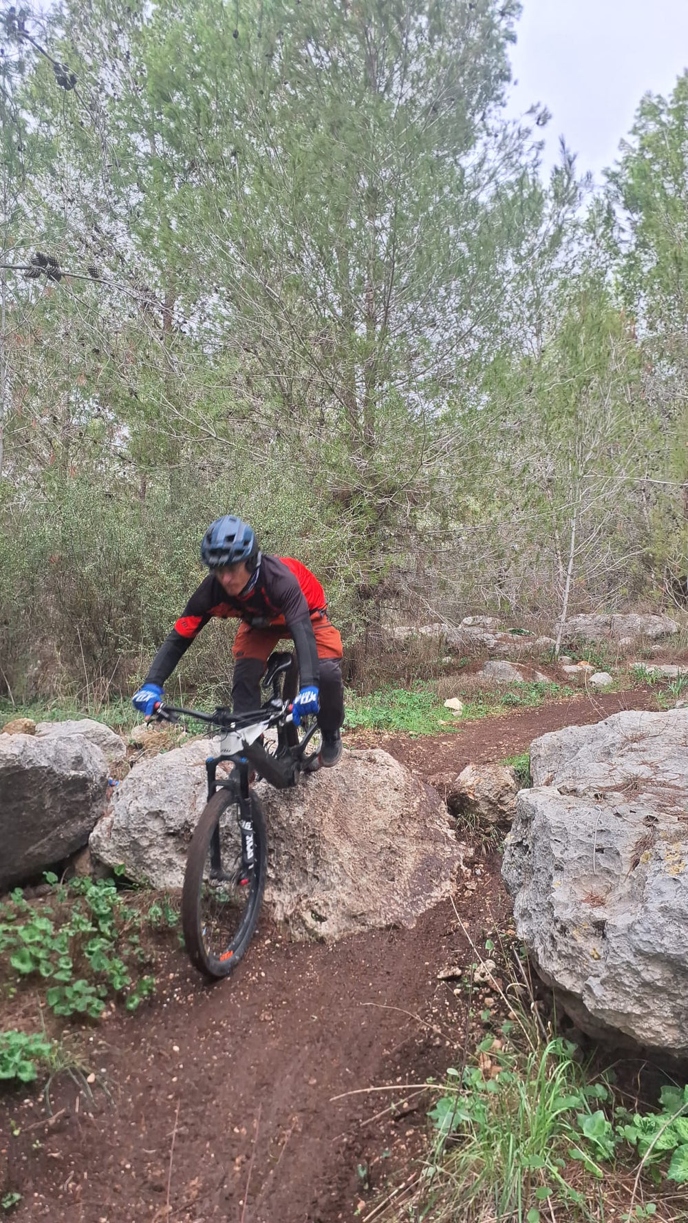 תמונה מהמסלול