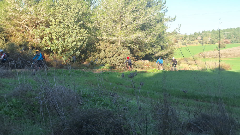 תמונה מהמסלול