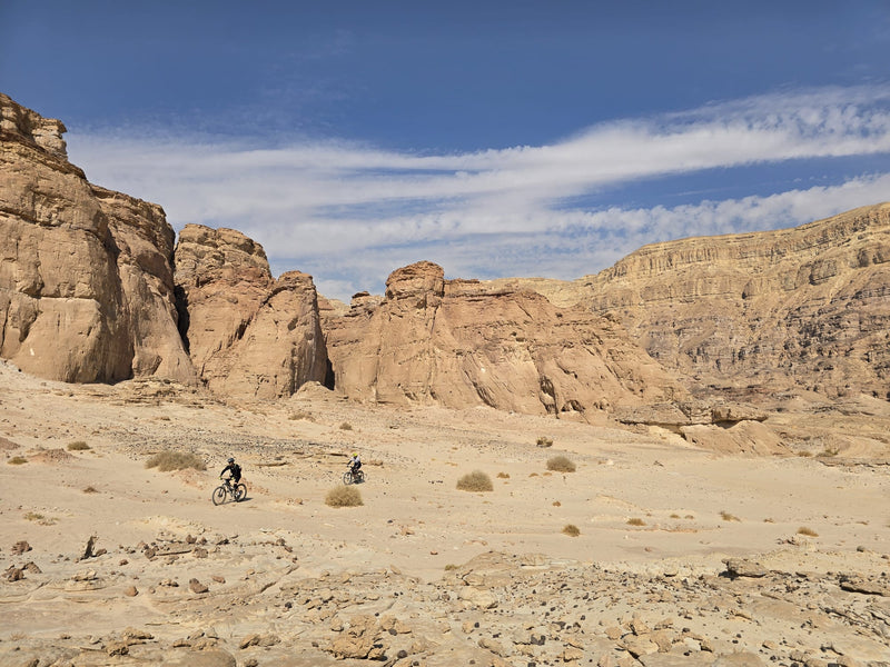 יום שישי פארק תמנע 06-02-26