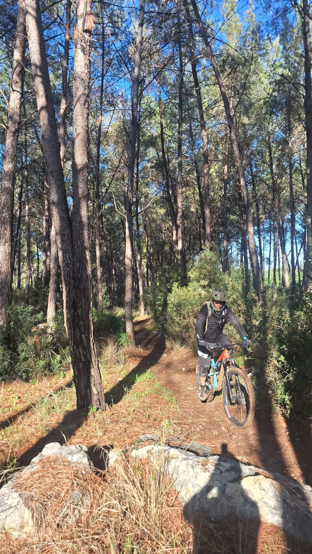 תמונה מהמסלול