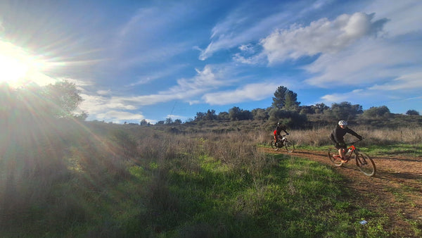 מחנות דמו364-לקנדה