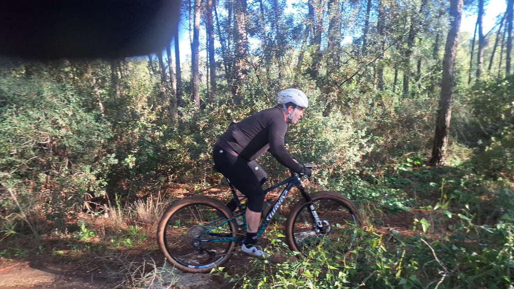 תמונה מהמסלול