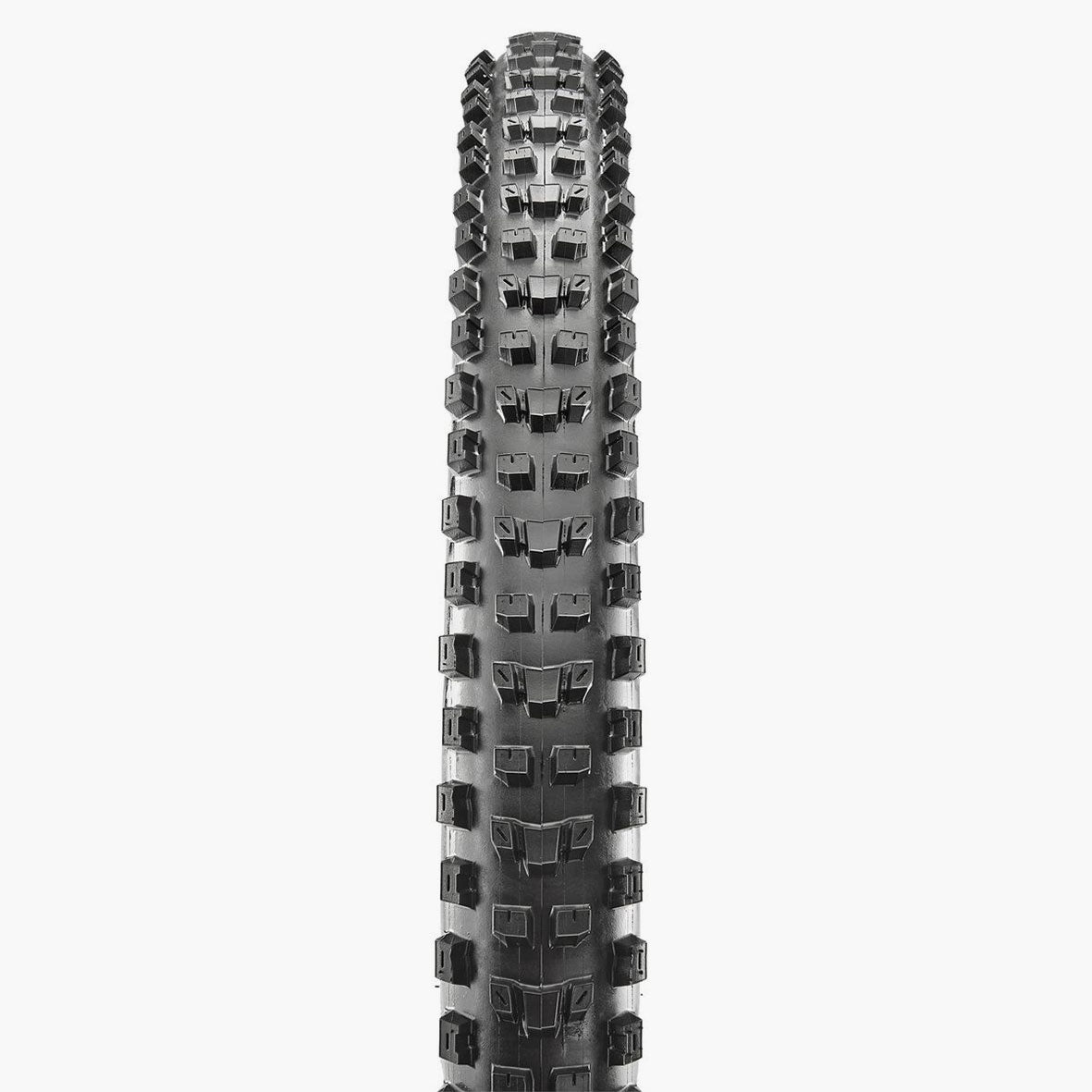 MAXXIS DISSECTOR TR - צמיג אופניים שטח