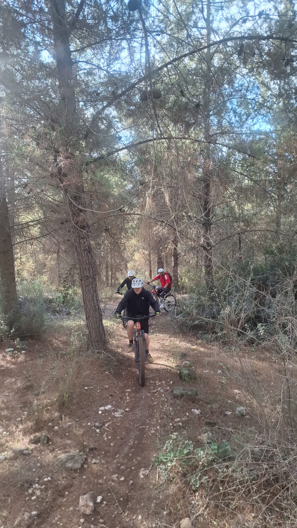 תמונה מהמסלול