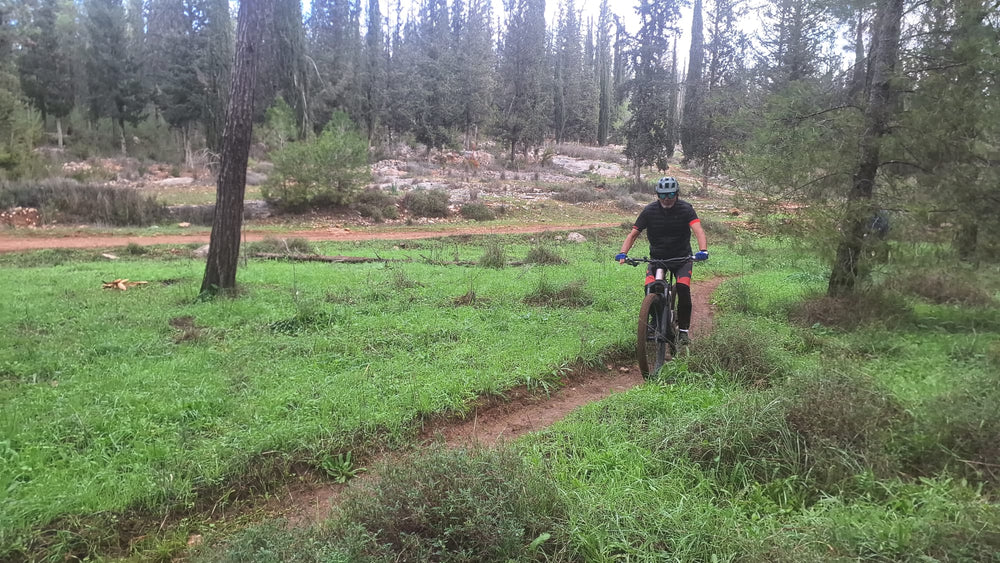 תמונה מהמסלול