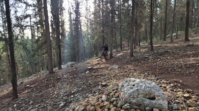 "סלע האדרנלין" – יער בן שמן