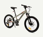 אופני הרים ז"ק אלומיניום 20" RAINBOW R7 COMP