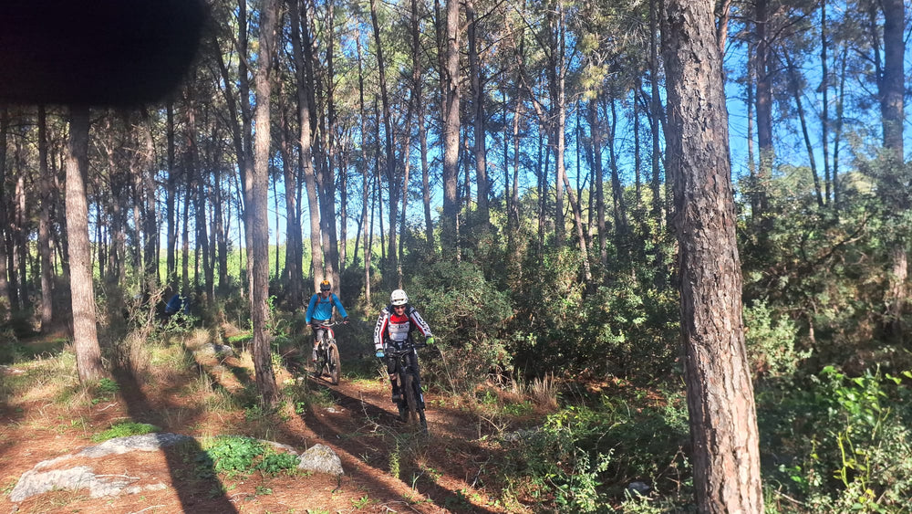 תמונה מהמסלול