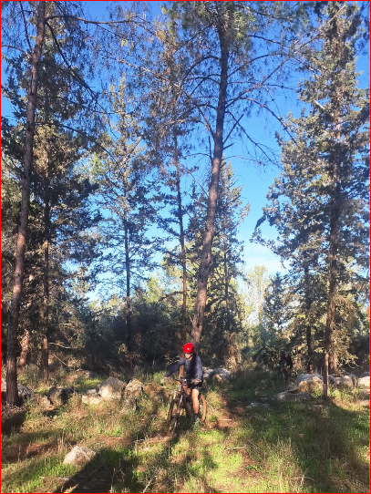 תמונה מהמסלול