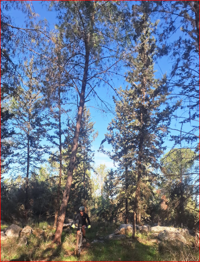 תמונה מהמסלול