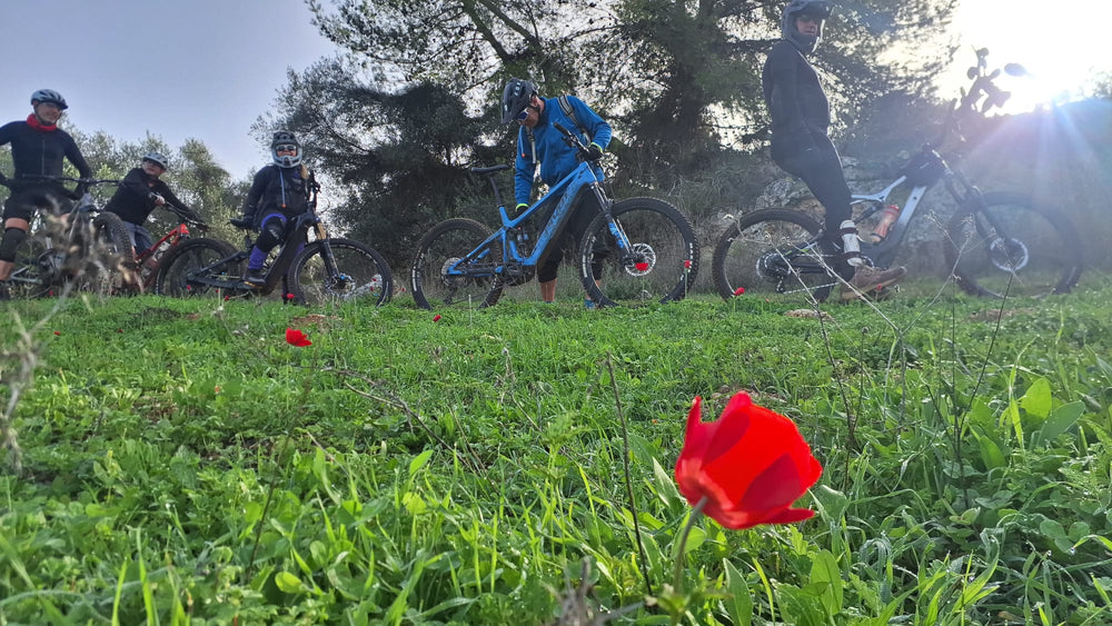 תמונה מהמסלול