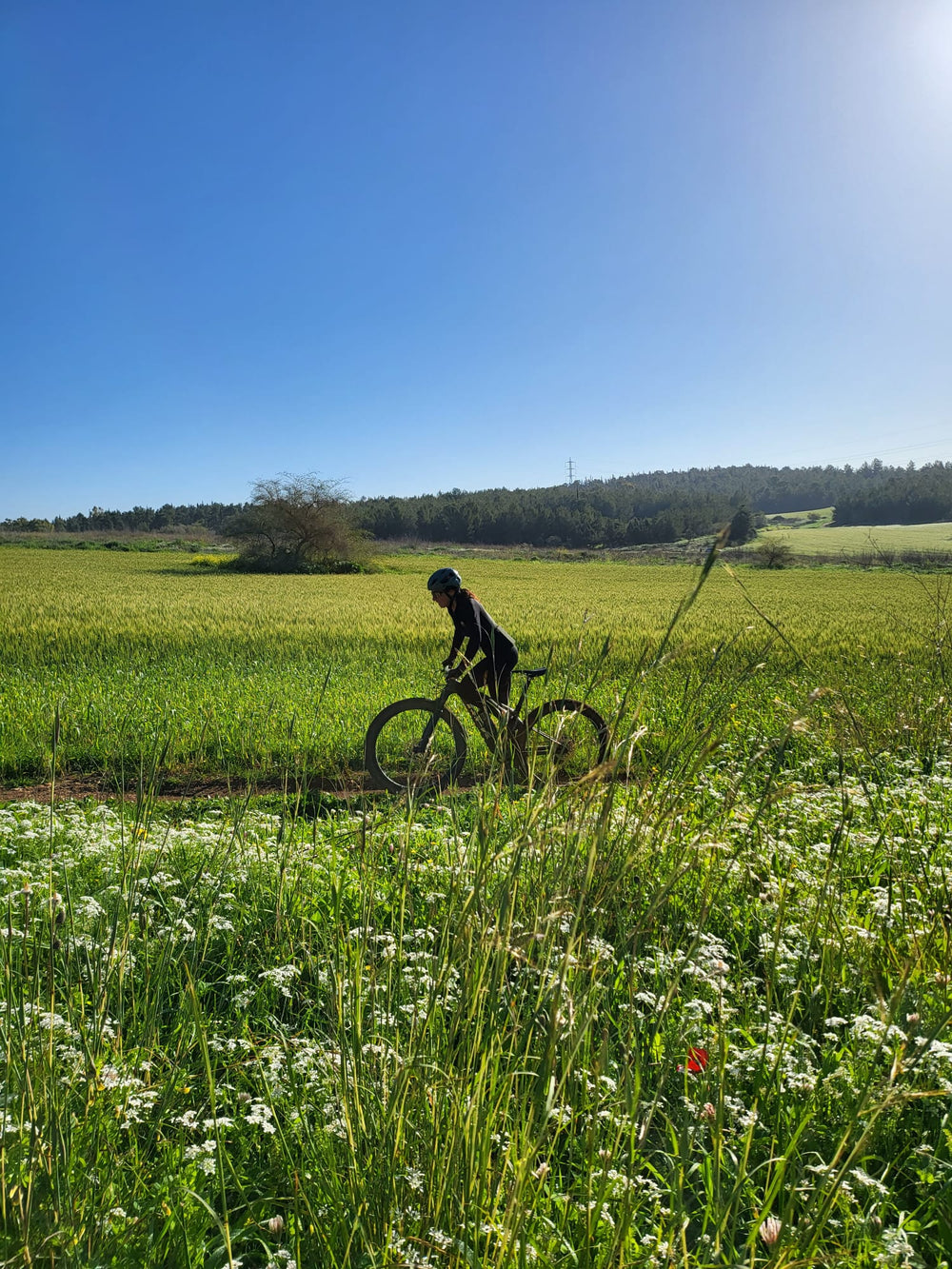 תמונה מהמסלול