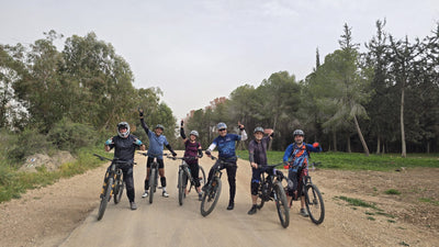 המרדף אחר הממ"ד- מודיעין