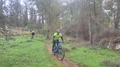 מתחילים סינגלים לייט