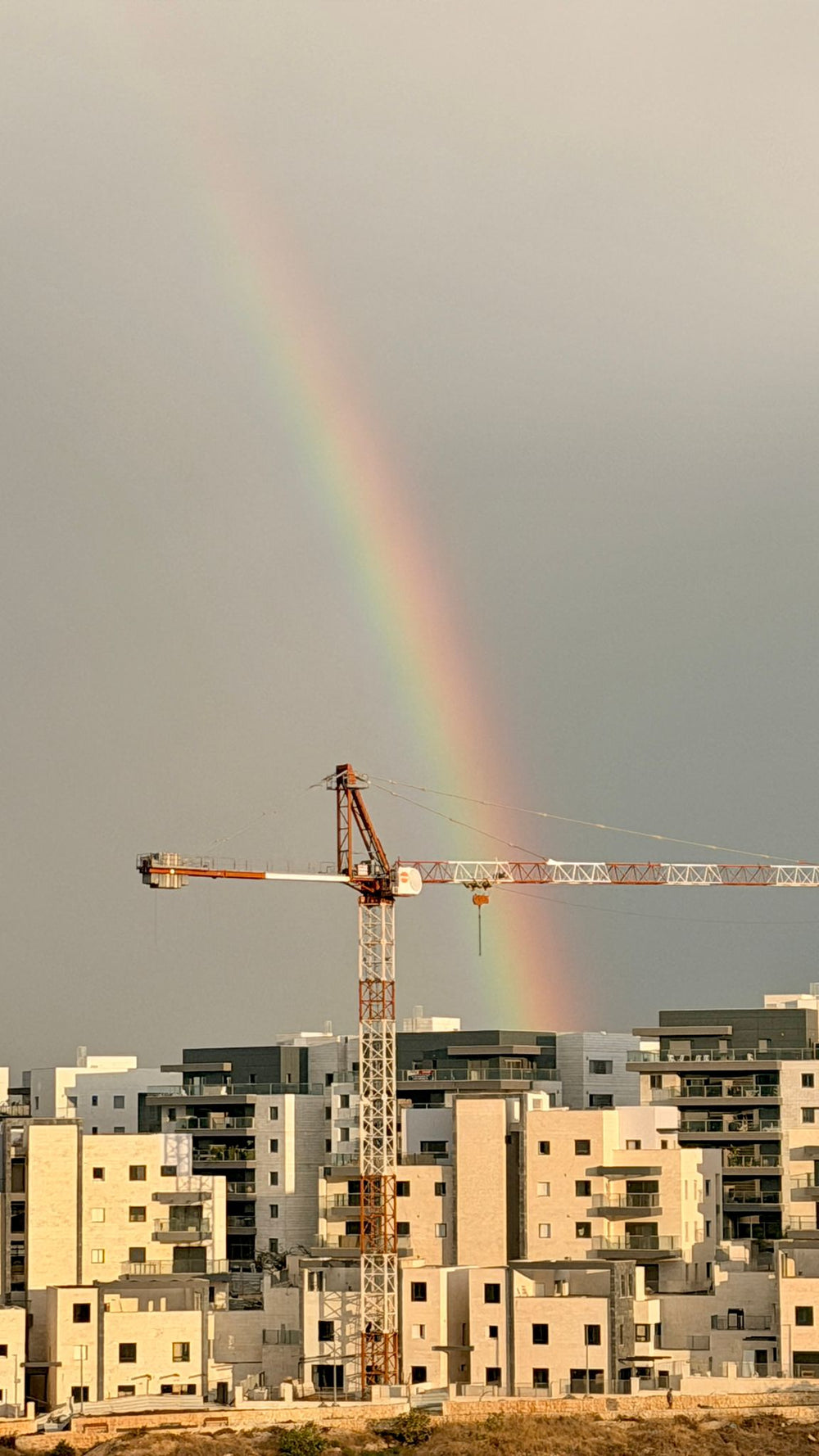 תמונה מהמסלול