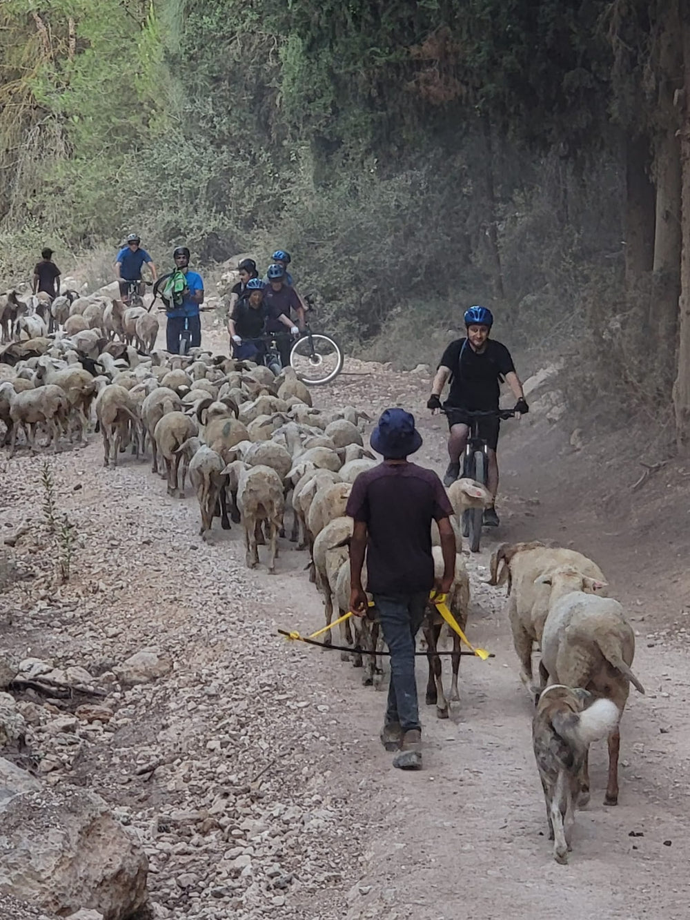 תמונה מהמסלול