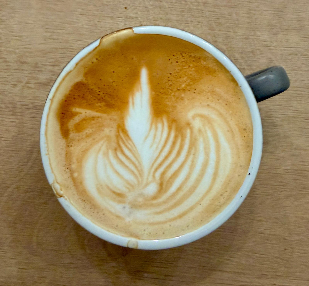 תמונה מהמסלול