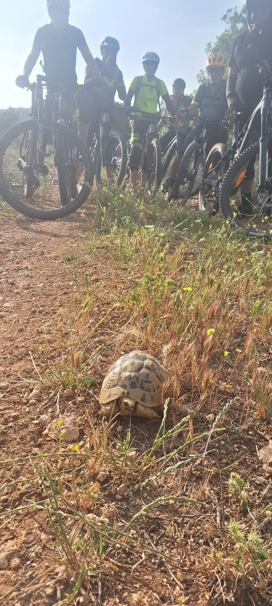 תמונה מהמסלול