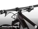 ז"ק קרבון תחרותי BMC Twostroke 01 FIVE